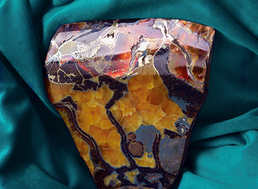 Рождается Легенда! Даём имя сорту Симбирцита!