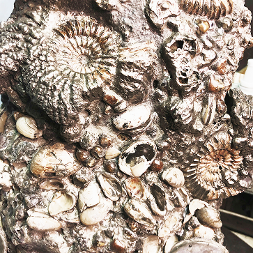 Симбирцитовая зала + производство